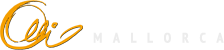 logo kiteschoolmallorca en